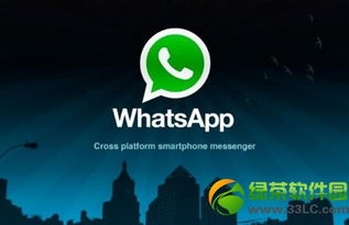 whatsapp有人加,WhatsApp神秘好友的神秘面纱