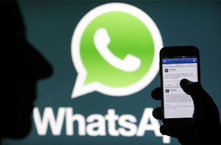 whatsapp图片下载不了怎么解决,解决WhatsApp图片下载失败的问题