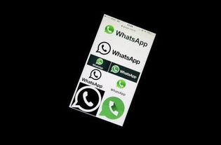 whatsapp动态怎么看,如何捕捉潮流脉搏
