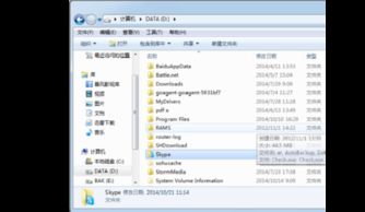 skype号码有种形式,探寻数字世界的独特标识
