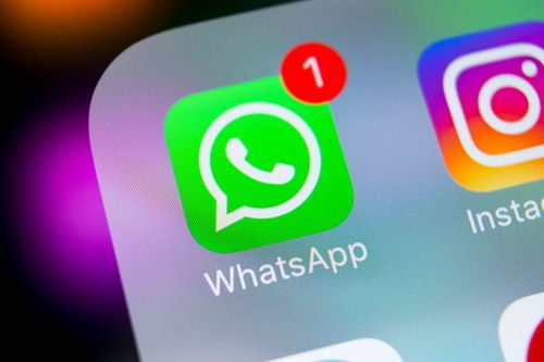 whatsapp手机登陆不了,原因排查与解决攻略