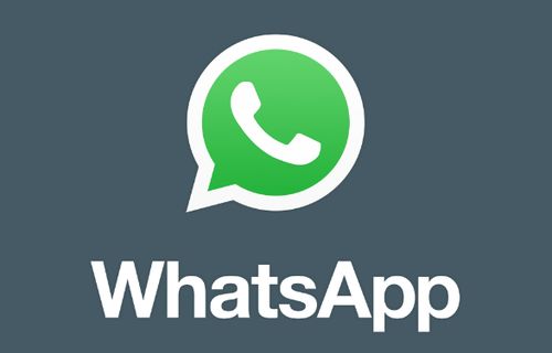 whatsapp灰色的两个钩,揭秘消息发送状态之谜