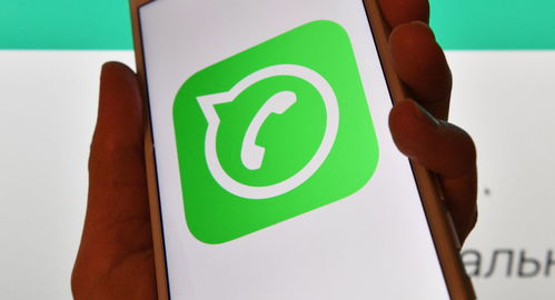 whatsapp谁在用,全球热门通讯应用的使用者画像