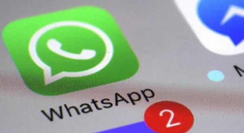 whatsapp 账号是什么,WhatsApp账号背后的秘密与故事
