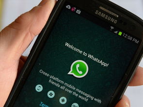 whatsapp可以查图片来源,追踪图片来源的神秘功能