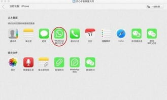 whatsapp还原以前的聊天记录,重温往昔温馨时光