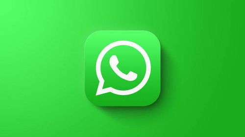 whatsapp发消息没有勾,揭秘隐藏的沟通细节
