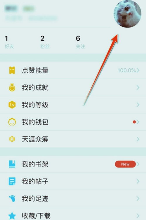 whatsapp 切换帐号,畅享多账号便捷沟通体验