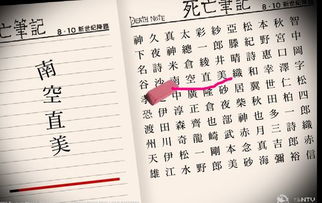 数字游戏英雄生存 