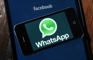 whatsapp信息不能及时推送,揭秘WhatsApp信息延迟推送之谜
