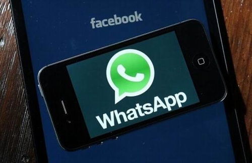 Whatsapp打电话黑屏,原因及解决方案