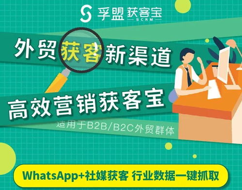 WhatsApp批量加群插件,高效群组拓展利器揭秘