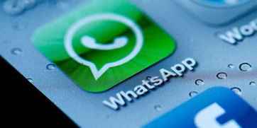 whatsapp和国外人聊天,WhatsApp上的跨国文化交流之旅