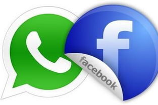 whatsapp和facebook的,社交巨头如何塑造现代沟通方式