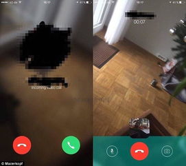whatsapp视频聊天p图,轻松打造个性化趣味瞬间