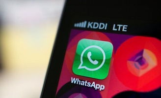 whatsapp公司号,解锁企业沟通新篇章