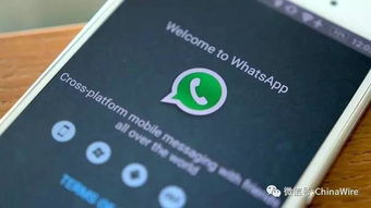 whatsapp发出去有个钟,一键生成独特个性时刻”