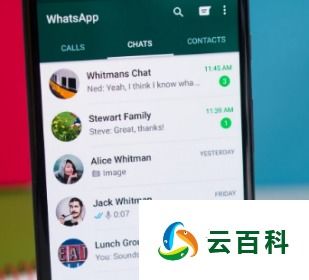 whatsapp可以投诉吗,如何有效维权与解决问题