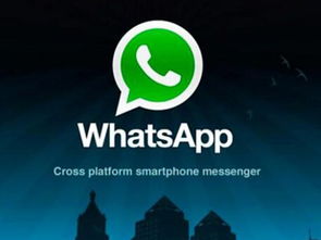 whatsapp活跃量,社交巨头背后的真实数据解析