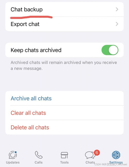 whatsapp聊天记录苹果手机版,苹果手机版深度解析