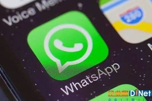 whatsapp 发布时间,揭秘WhatsApp发布时间背后的故事与影响