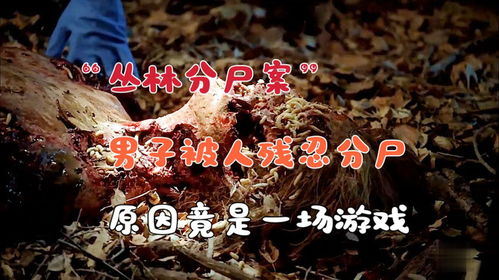 绝密档案游戏下载 