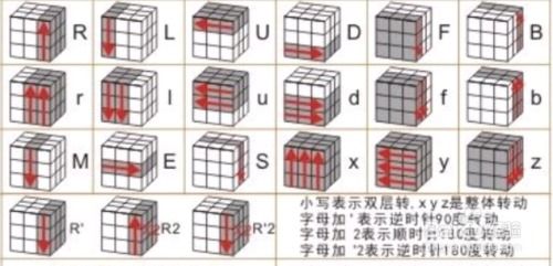 训狗教程大全 