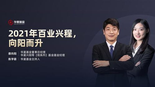 泡泡大作战游戏手机游戏 