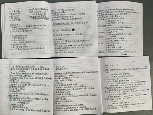 孤独的鸟儿游戏官方版2024下载安装v2.4 
