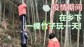 竹子影视下载安装 