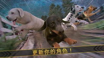 最强看门人 
