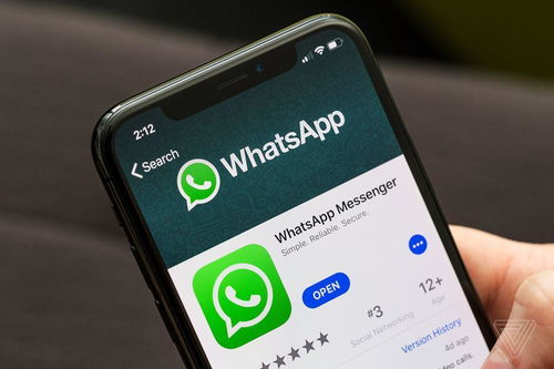 whatsapp的勾勾意思,解锁聊天中的神秘符号含义