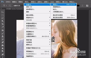 数字游戏英雄生存 