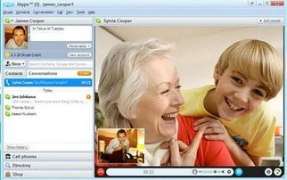 skype外国人多吗,外国用户汇聚的交流天堂