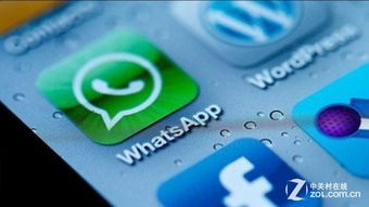 whatsapp被,全球通讯的便捷桥梁