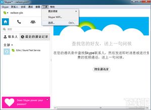 skype网络电话是什么意思