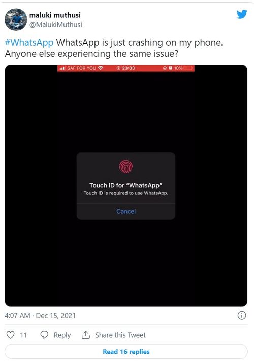 whatsapp更新为何闪退,揭秘原因及解决方案