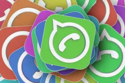 WhatsApp收到消息可以提示,跨越语言障碍轻松沟通