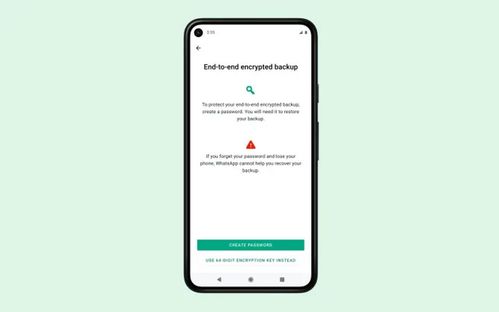 whatsapp聊天记录加密图,安全与隐私的守护者