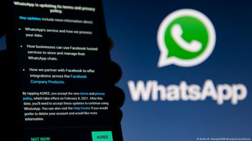 whatsapp名片,一窥社交新世界