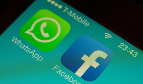 whatsapp发不了相片