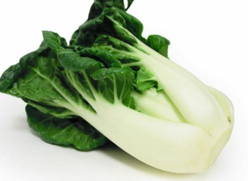 白菜游戏app免费版 