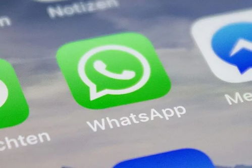 whatsapp号码收不到验证码