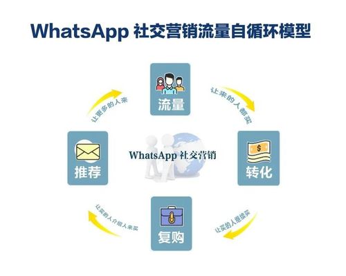 whatsapp上如何运营客户,打造高效互动与转化策略