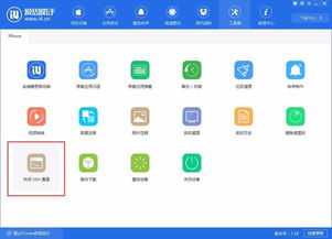 whatsapp在爱思助手怎么下载,详细步骤解析