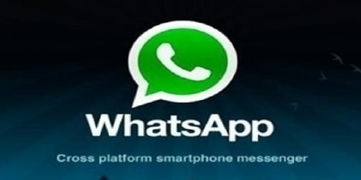 whatsapp添加好友数量