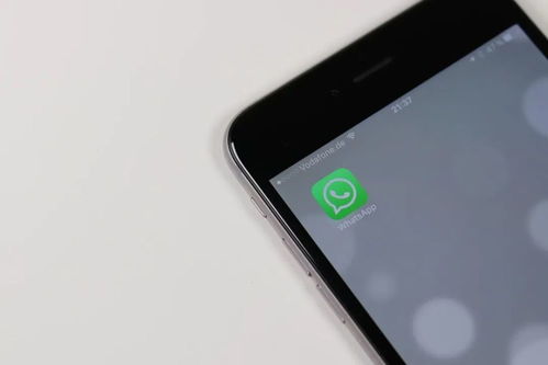 whatsapp手机号被禁怎么办,WhatsApp手机号被禁？教你轻松应对解决方法