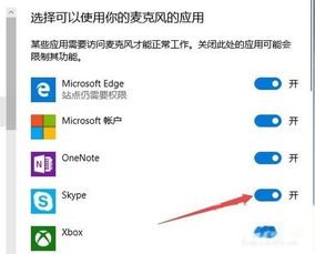 skype麦克风怎么用不了,解决麦克风无法使用问题