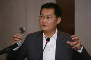 猫咪烹饪吧游戏 