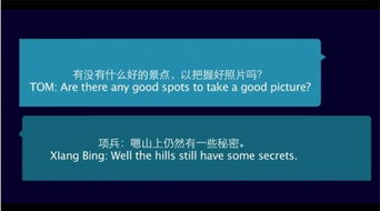 skype同步翻译器